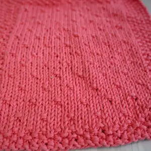 Simple Seed Dishcloth close-up