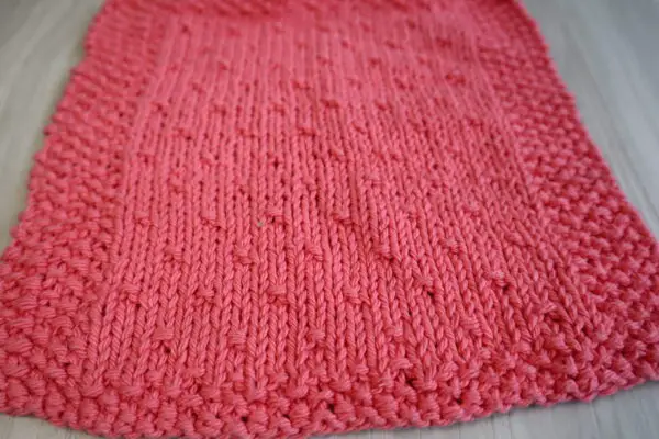 Simple Seed Dishcloth close-up