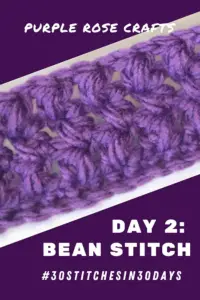 Day 2: How to Crochet Bean Stitch