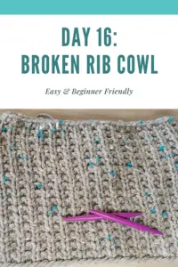 Day 16: Broken Rib Stitch & FREE Cowl Pattern